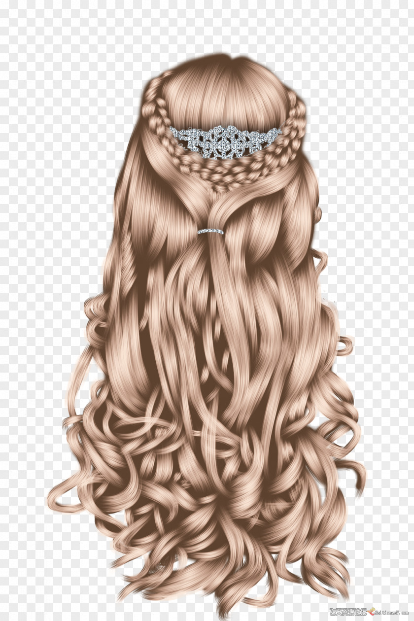 Princess Braided Hair Hairstyle Braid Wig Blond PNG