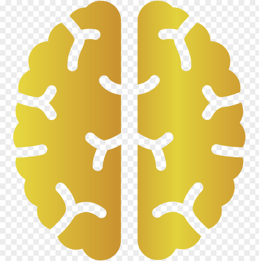 Symbol Yellow Brain Icon PNG