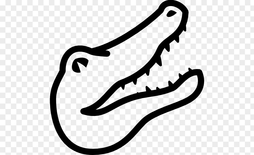 Alligator Alligators Crocodile Drawing Clip Art PNG