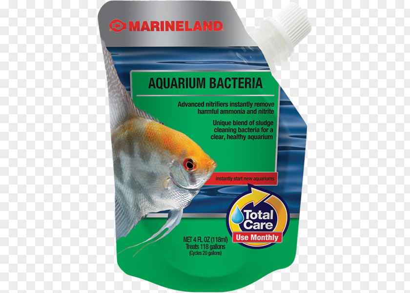 Fast Food Rubbish Marineland Aquarium Filters Bacteria Fish PNG
