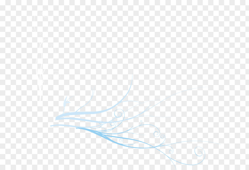 Line Feather Desktop Wallpaper Sky Close-up Font PNG