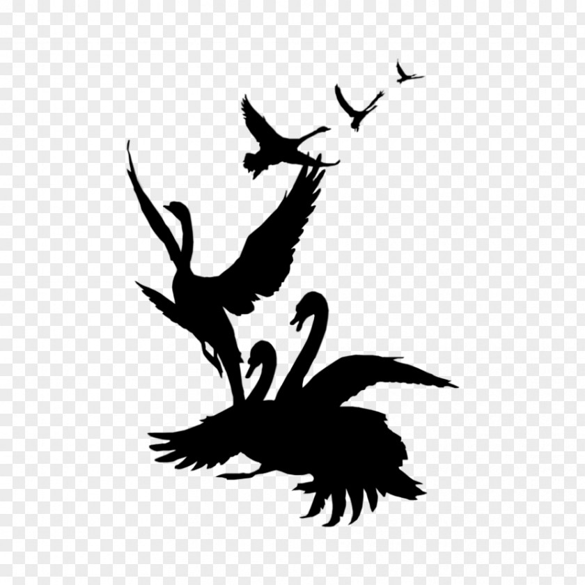 Swan Dance Silhouette Black Clip Art PNG
