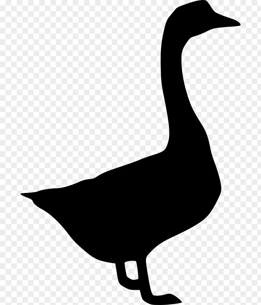 Goose Duck Fowl Feather Black And White PNG