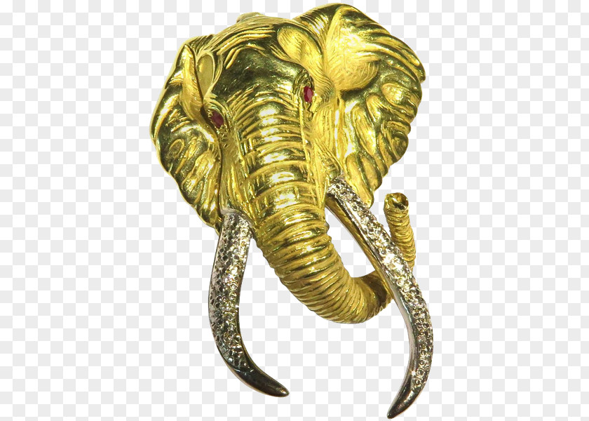 Jewellery Elephantidae Terrestrial Animal Mammoth PNG
