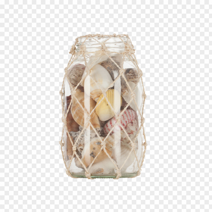 Seashell Jar Business Tapestry Sphere PNG