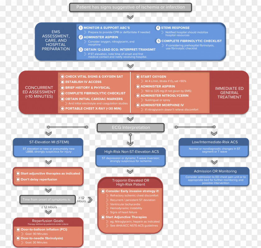 Algorithm Advanced Cardiac Life Support Acute Coronary Syndrome Cardiology Arrest PNG