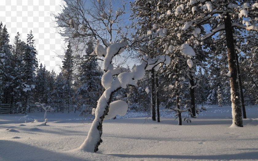 Finland Snow Thirteen Russo-Swedish War Wallpaper PNG