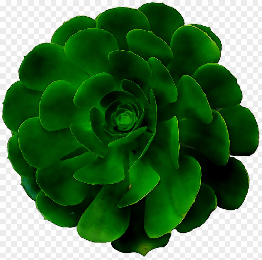 Green PNG