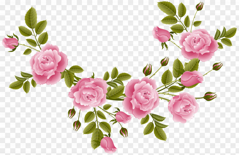 Rose Decorative Elements Garden Roses Flower Clip Art PNG