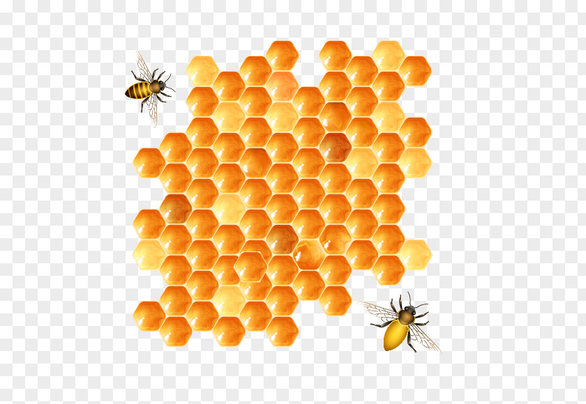 Bee PNG