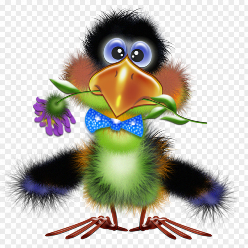 Bird Clip Art Illustrations Openclipart PNG