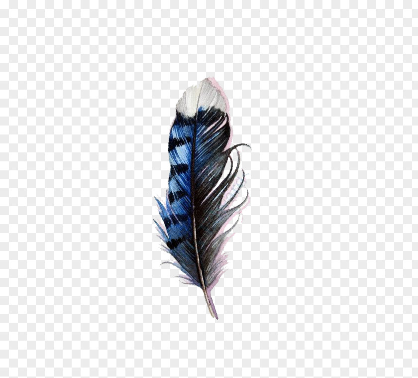 Blue Watercolor Feathers Bird Tattoo Feather Jay Painting PNG