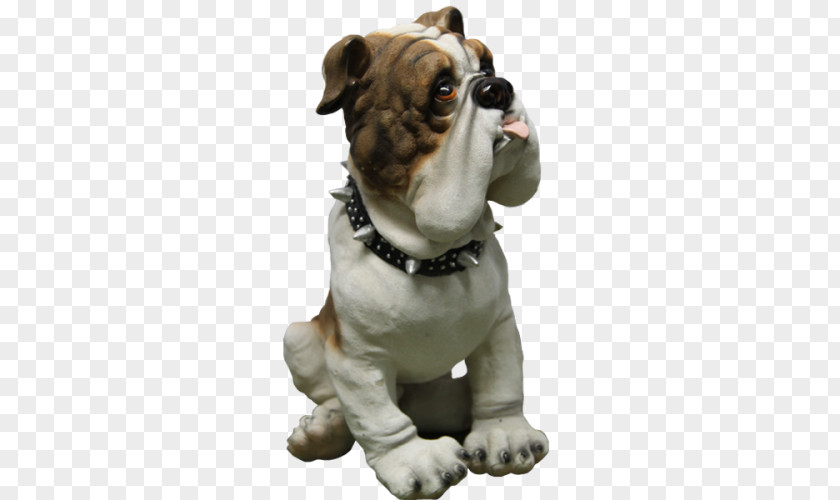 Puppy Toy Bulldog Olde English Bulldogge Dorset Tyme Dog Breed PNG