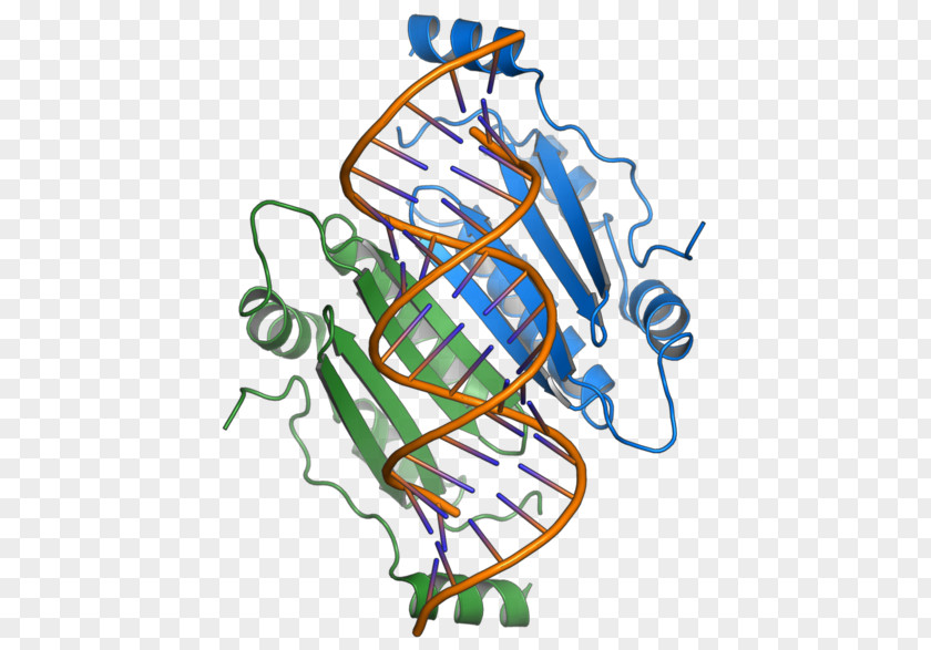 RNA Silencing Suppressor P19 Overlapping Gene Positive-sense Single-stranded Virus PNG