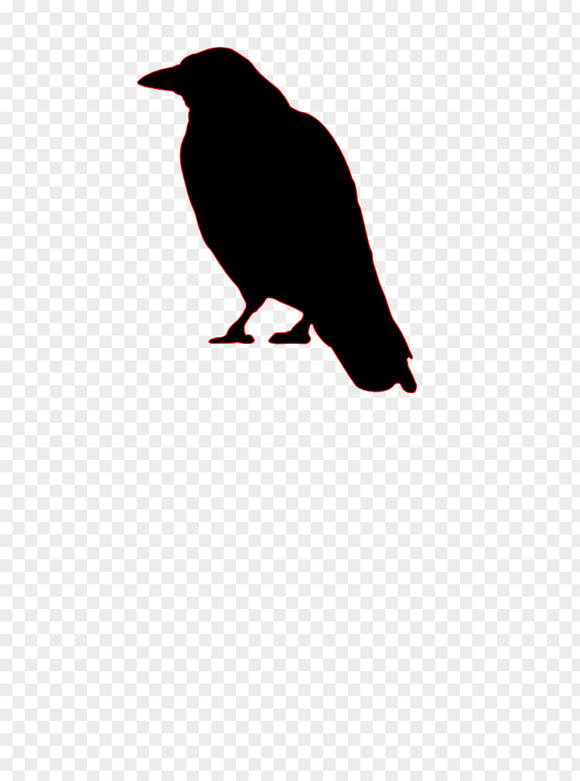 Bird Common Raven Crow Silhouette Clip Art PNG