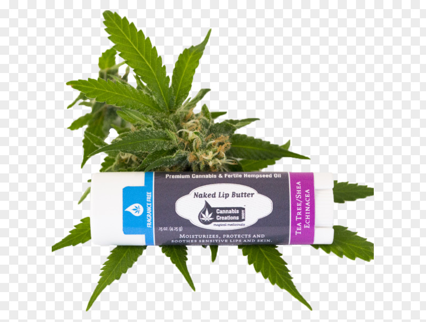Cannabis Herb PNG