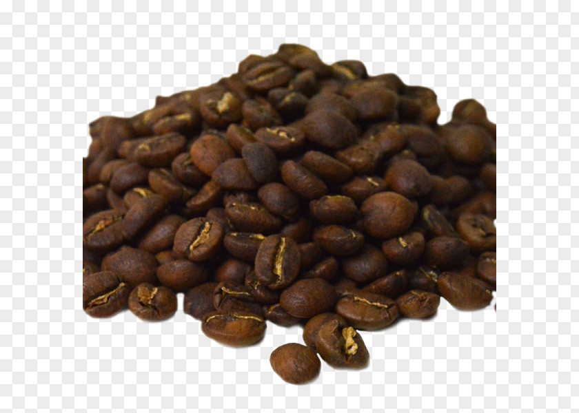 Coffee Jamaican Blue Mountain Bean Lively Up Espresso PNG