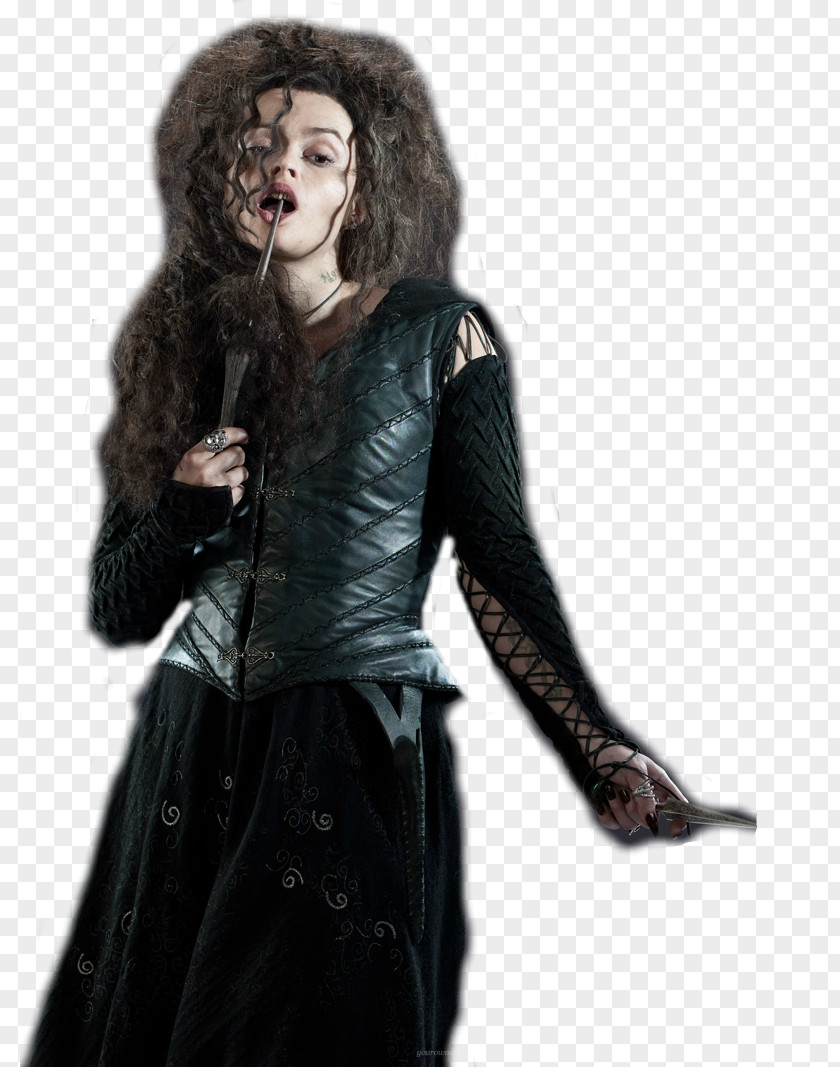 Harry Potter Bellatrix Lestrange Lord Voldemort Sirius Black Narcissa Malfoy PNG