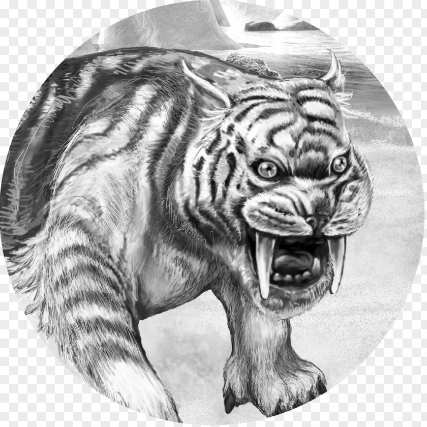 Saber-toothed Cat Tiger Big Terrestrial Animal Wildlife PNG