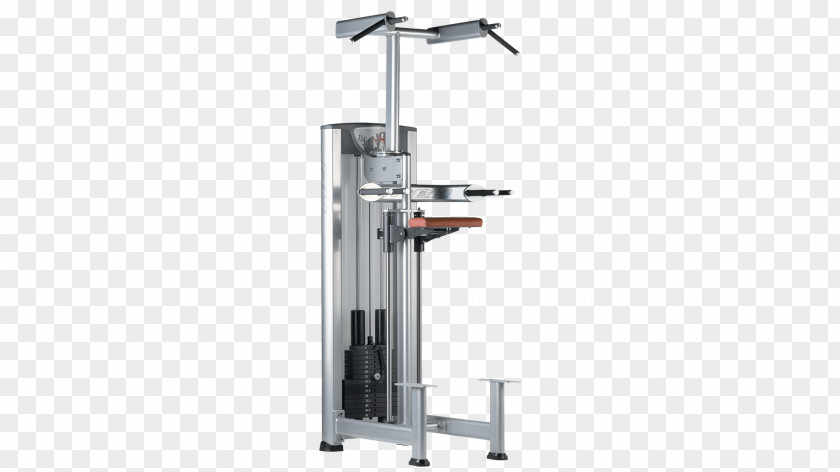 Bodybuilding Machine Weight Training Dip Exercycle, S.L. PNG