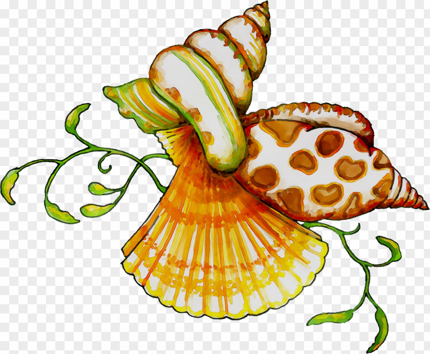 Clip Art Flower Food Product Invertebrate PNG