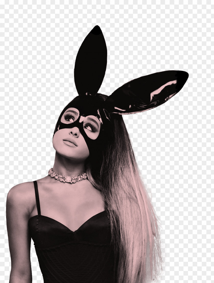 Dangerous Woman Tour Music Concert PNG Concert, ariana grande clipart PNG