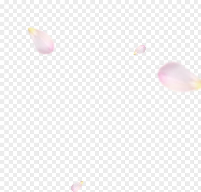 Floating Petal Pink M Desktop Wallpaper Close-up Computer Beauty.m PNG