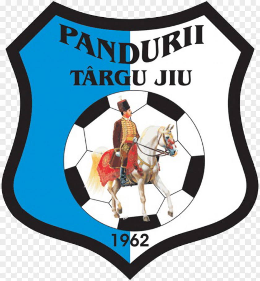 Jiu CS Pandurii Târgu Gaz Metan Mediaș FC Argeș Pitești Liga I PNG