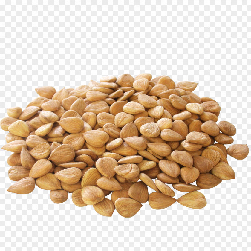 Almond Apricot Kernel Nut Seed PNG