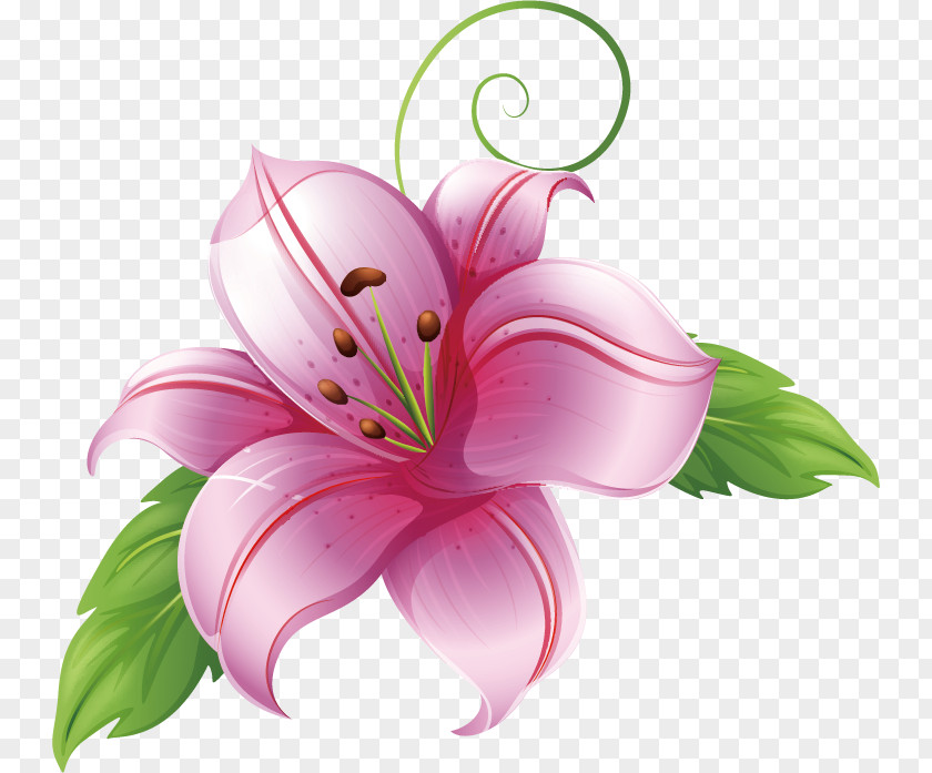 Flower Drawing Stock Photography Clip Art PNG