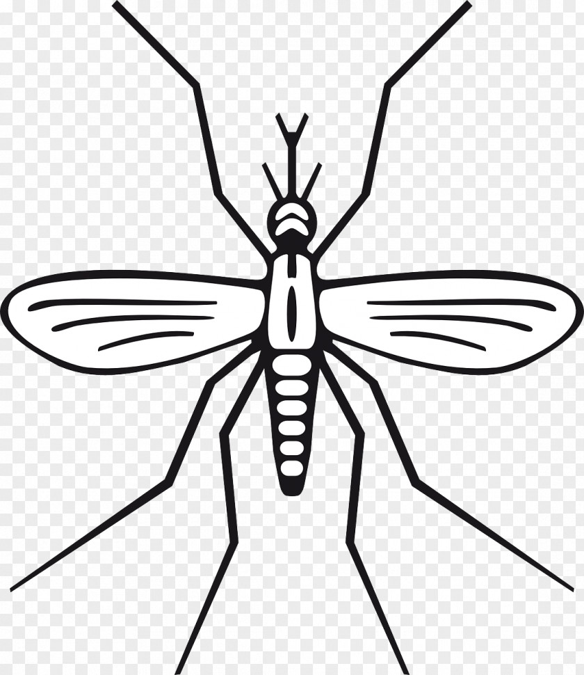 Flying Mosquitoes Mosquito Black And White Clip Art PNG