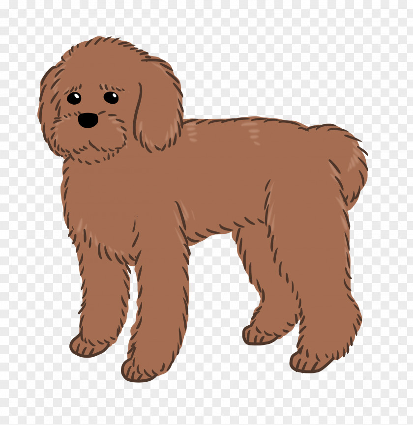 Puppy Goldendoodle Schnoodle Dog Breed Companion PNG