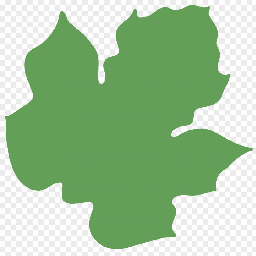 Symbol Holly Maple Leaf PNG