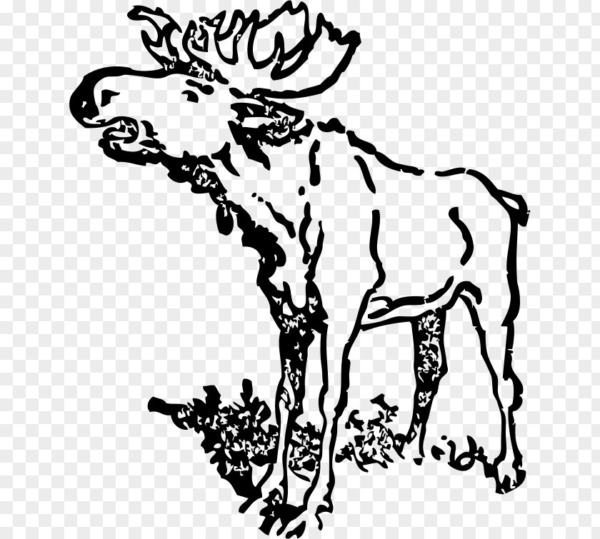 Antlers Vector Moose Clip Art PNG