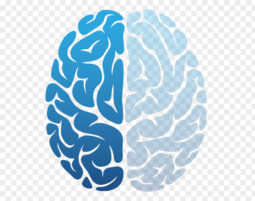 Brain Tumor Neurotechnology Cerebral Hemisphere Development Of The Nervous System PNG