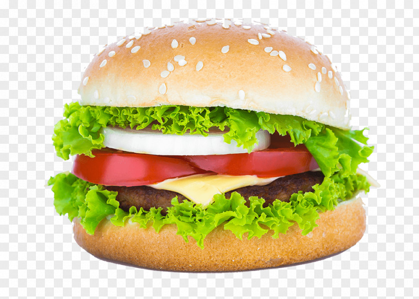 Burgher Filigree Hamburger Desi Food Studio Image Bible Cheeseburger PNG