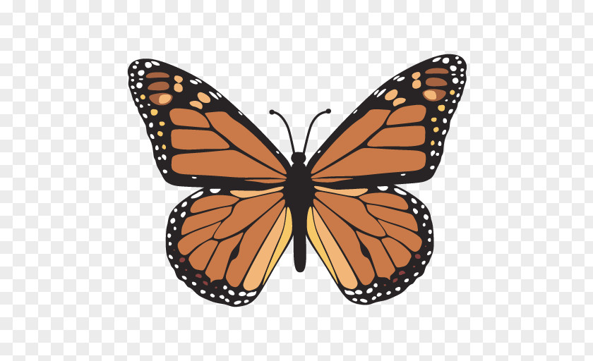Butterfly The Monarch Drawing Clip Art PNG