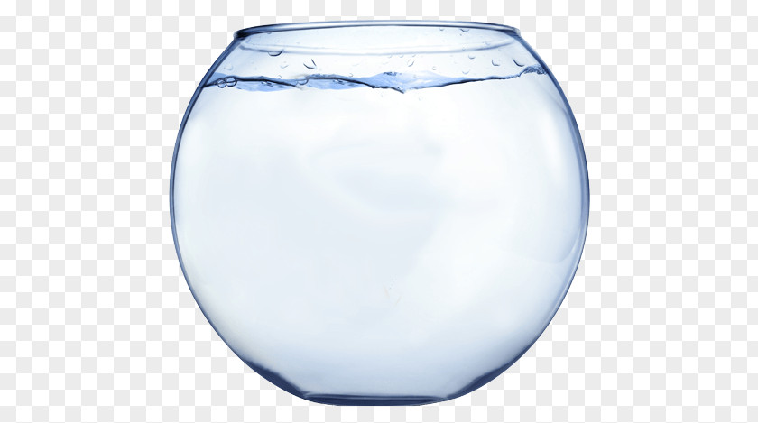 Fish Bowl PNG Bowl, clear glass fishbowl art clipart PNG