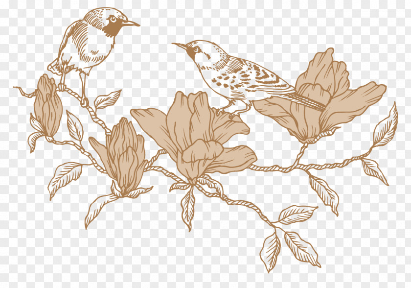 Vintage Line Drawing Bird,plant PNG