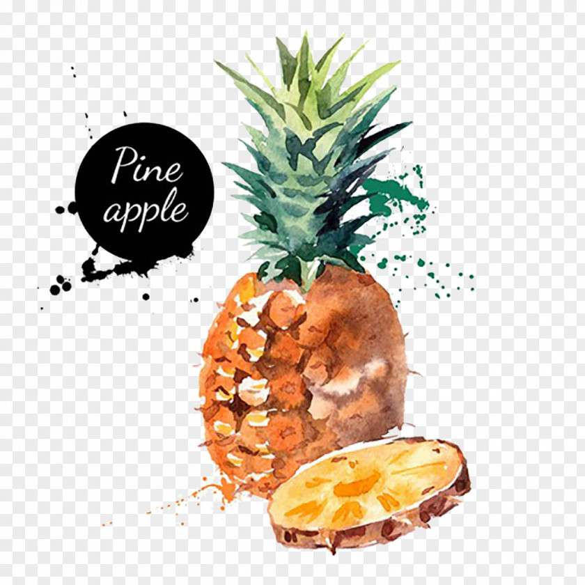 Watercolor Painted Pineapple Organic Food Fruit Seasonal PNG