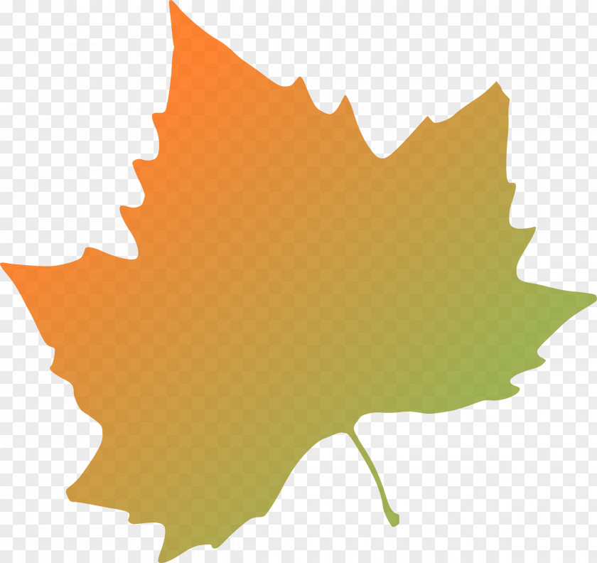 Autumn Leaves Leaf Color Clip Art PNG