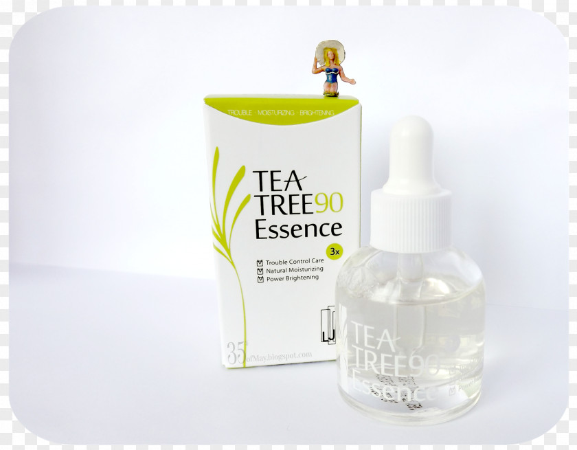 Tea Tree Oil Narrow-leaved Paperbark Skin Acne PNG