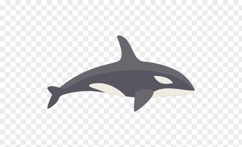 Whale Dolphin Killer Animal Icon PNG