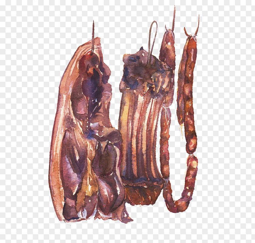 Creative Hand-painted Realistic Bacon Tocino Curing Illustration PNG
