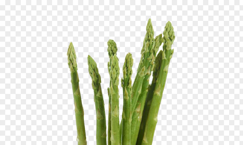 Green Organic Bamboo Shoots Asparagus Food PNG
