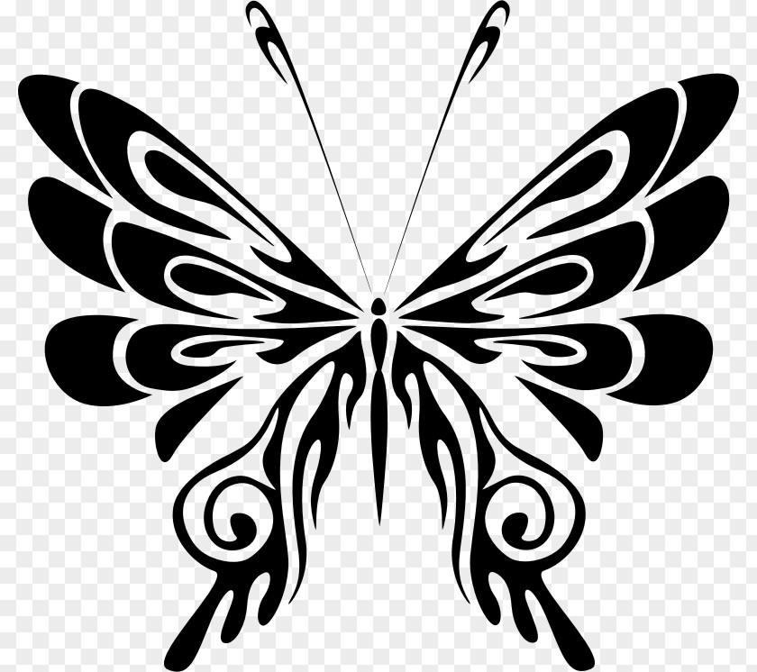 Hummingbird Silhouette Line Art Butterfly Clip PNG