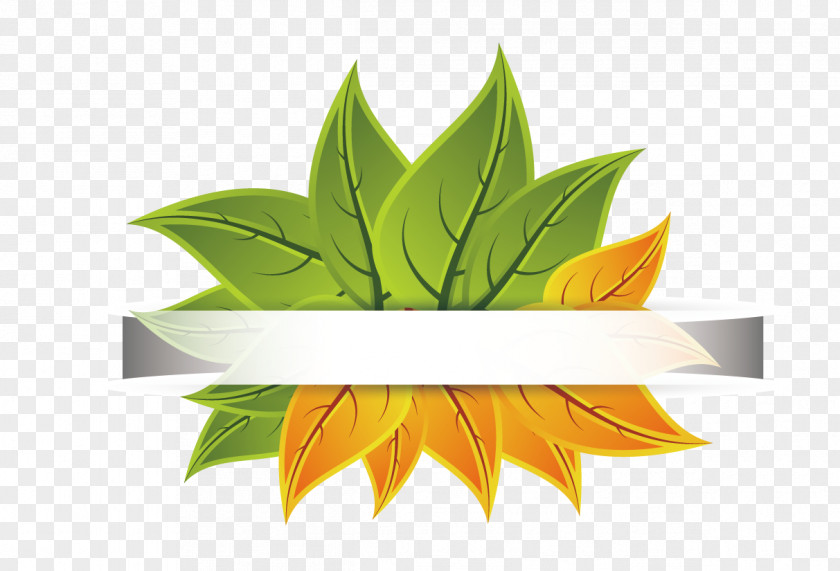 Leaves Border Royalty-free Photography Illustration PNG