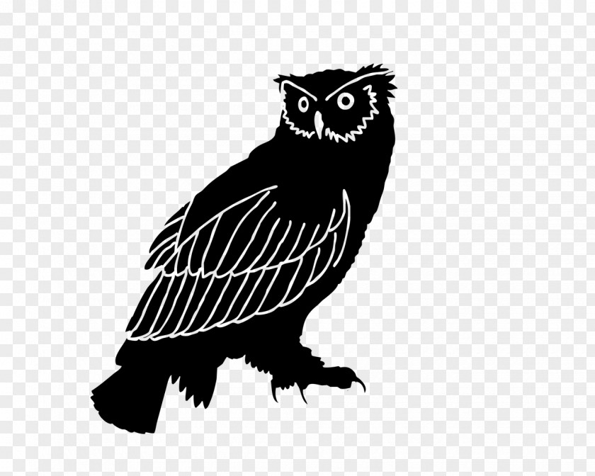 Owl Silhouette Bird Black And White Clip Art PNG