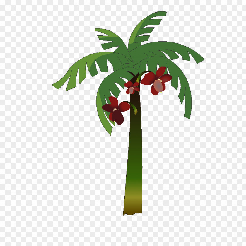 Palmier Plant Drawing Fruit Clip Art PNG