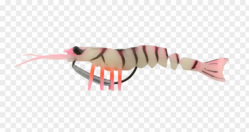 Shrimps Fishing Baits & Lures Shrimp Thermoplastic Elastomer PNG